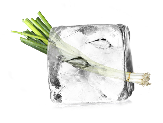 freezer save at supermarket